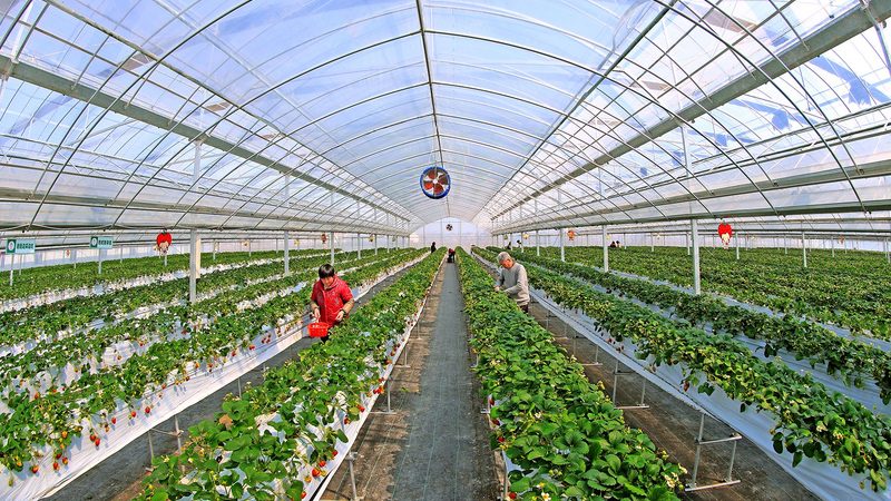 农民专业合作社财务管理流程：稳健运营的基石