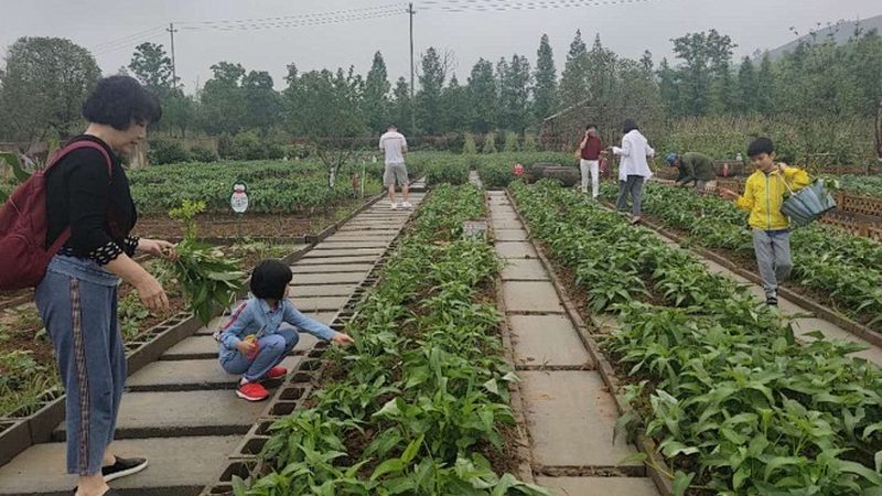 农资代理加盟，这些条件你具备了吗？**