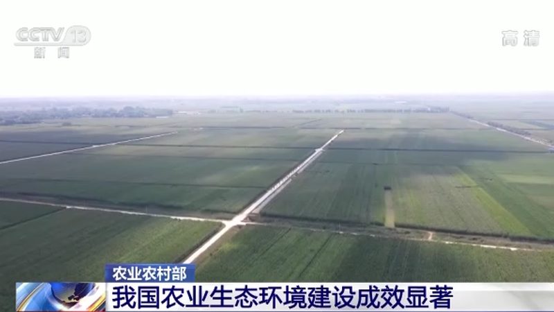 揭秘粮食种植增产的五大关键技术