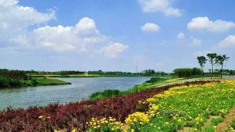农业种植技术转型：迈向可持续发展的关键步骤