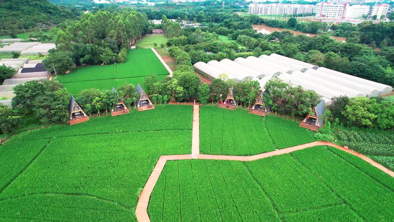 休闲农业文旅综合体：如何选择优质的招商项目**
