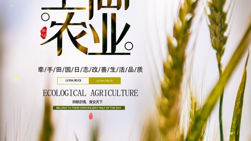 生鲜配送系统是连接农产品生产者和消费者的重要环节，其核心要素包括：