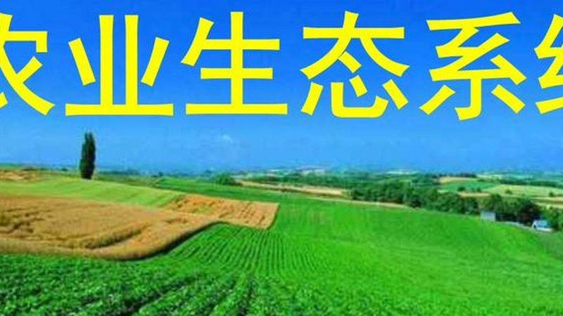 山东种植合作社排名前十背后的故事