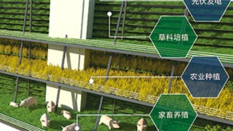 智慧农业种植系统：如何评估性价比与适用性